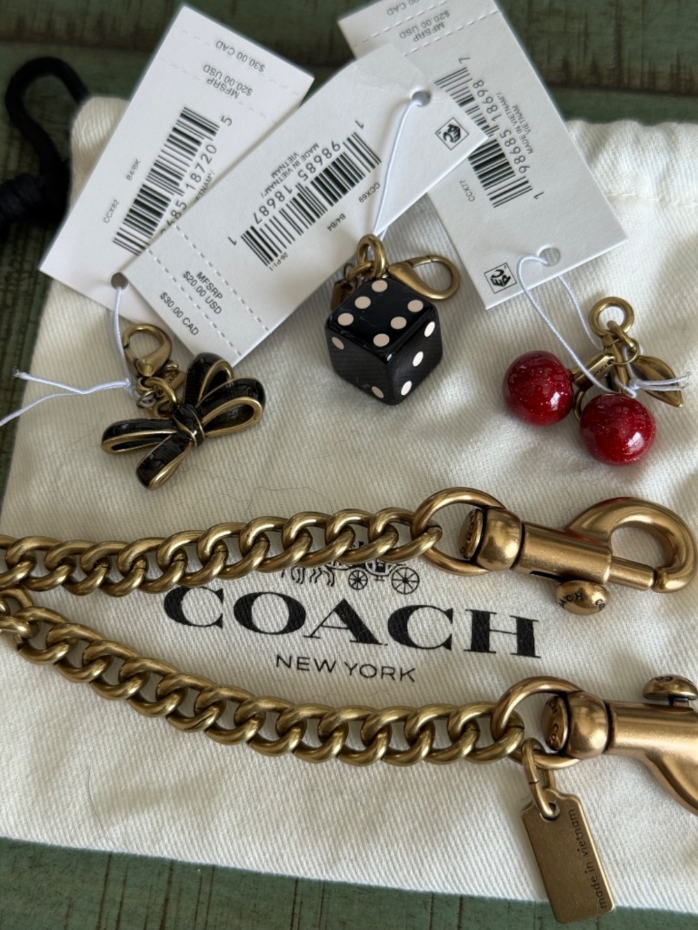Coach DIY Chain Strap with 3 DIY Charms - Picture 3 of 4
